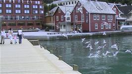 Torget, the harbour area of Odda, 38.3 miles from Hellandsbygd